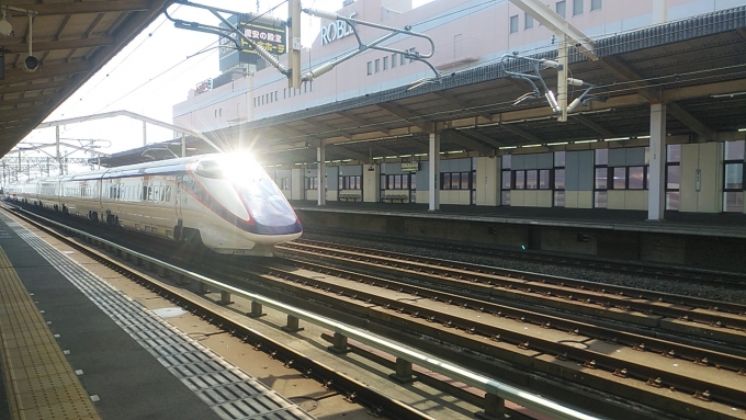 鉄道乗車記録の写真:列車・車両の様子(未乗車)(1)     「新幹線ホームで見ました。速くて怖かったです。」