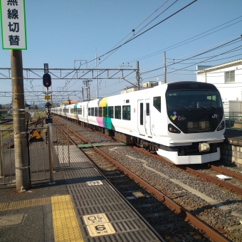 館山駅から新宿駅の乗車記録(乗りつぶし)写真