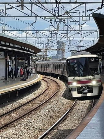 京王稲田堤駅から橋本駅の乗車記録(乗りつぶし)写真