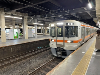 大垣駅から岐阜駅:鉄道乗車記録の写真