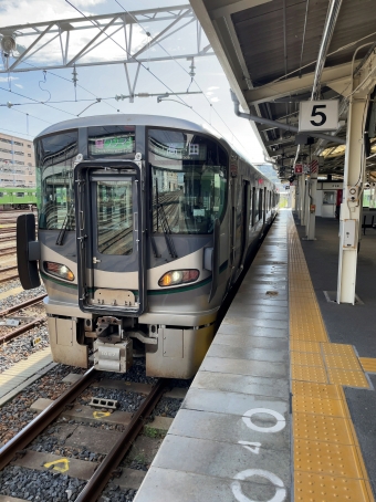 王寺駅から高田駅の乗車記録(乗りつぶし)写真