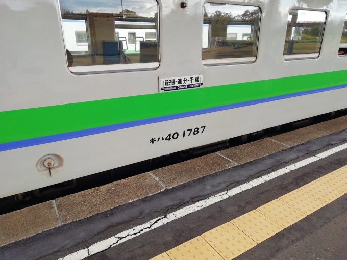 鉄道乗車記録の写真:乗車した列車(外観)(3)     「追分駅で石勝線経由千歳行きに乗り換えます。」