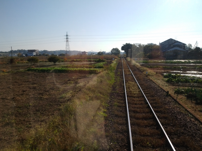 鉄道乗車記録の写真:車窓・風景(3)        「線路はほぼ直接的に敷設されている」