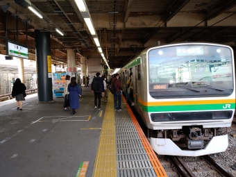 藤沢駅から大船駅の乗車記録(乗りつぶし)写真