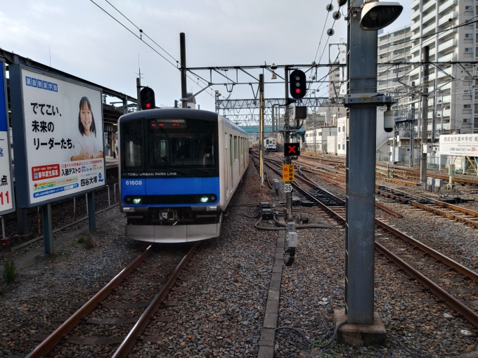 鉄道乗車記録の写真:列車・車両の様子(未乗車)(2)        「船橋方面からの電車が柏駅に入線する」