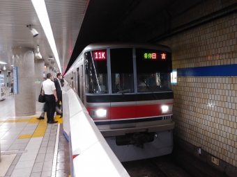 大手町駅から多摩川駅の乗車記録(乗りつぶし)写真
