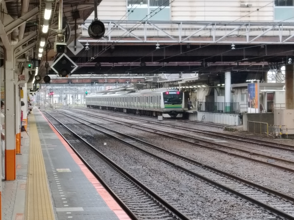 鉄道乗車記録「横浜駅から八王子駅」乗車した列車(外観)の写真(3) by 甲越 撮影日時:2021年08月14日