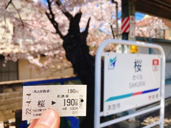 桜駅から神宮前駅の乗車記録(乗りつぶし)写真