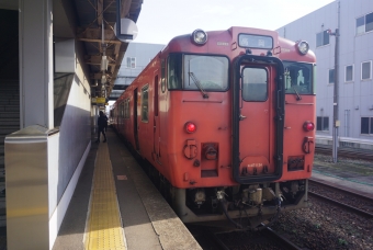 油田駅から高岡駅の乗車記録(乗りつぶし)写真