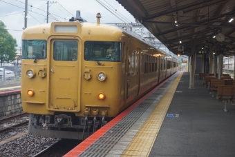南岩国駅から柳井駅の乗車記録(乗りつぶし)写真