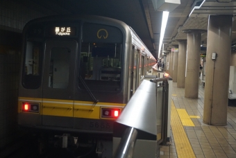 伏見駅から星ヶ丘駅の乗車記録(乗りつぶし)写真
