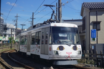 下高井戸駅から山下駅の乗車記録(乗りつぶし)写真
