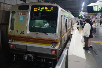 菊名駅から綱島駅の乗車記録(乗りつぶし)写真