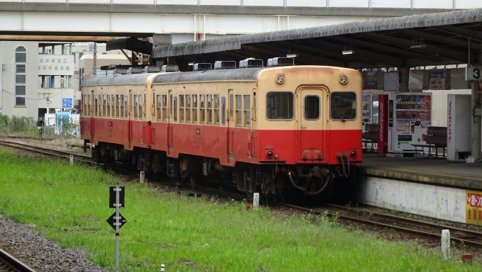 鉄道乗車記録の写真:乗車した列車(外観)(1)        「小湊鐵道の主力キハ200形
さすがに老朽化は否めないですね･･･」