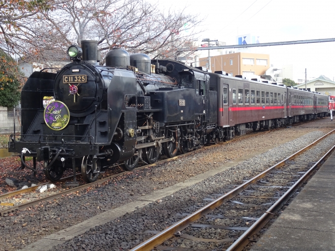 鉄道乗車記録の写真:乗車した列車(外観)(1)          「蒸気機関車C11 325号機
ラストランヘッドマーク付けています」