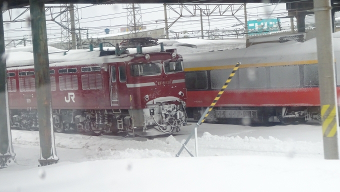 鉄道乗車記録の写真:列車・車両の様子(未乗車)(55)        「双頭連結器装備で首都圏からの疎開車両の回送などに大活躍のEF81 139号機の姿もありました。」