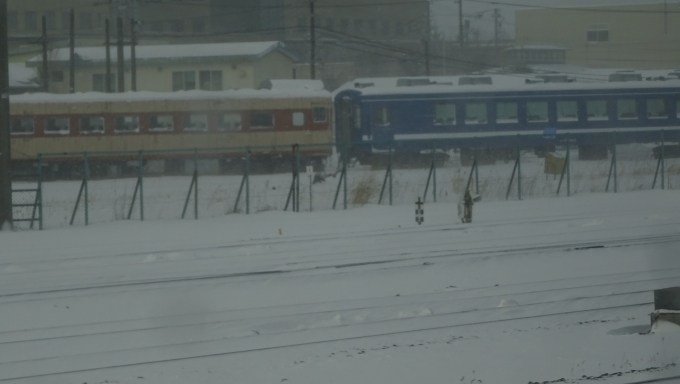 鉄道乗車記録の写真:車窓・風景(65)        「だんだん海岸線から街中にはいって
車窓にキハ58系(北海道だからキハ56系かな？)や元〈快速海峡〉用の50系客車が見えてきたと思ったら･･･」