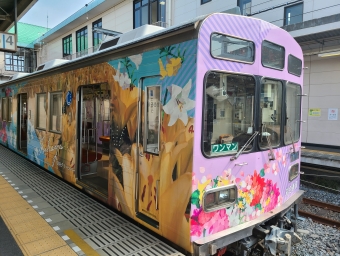 羽生駅から行田市駅の乗車記録(乗りつぶし)写真