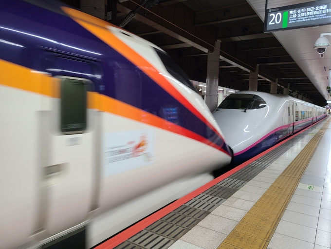 鉄道乗車記録の写真:乗車した列車(外観)(1)        「福島まで山形新幹線「つばさ」と東北新幹線「やまびこ」が連結。」