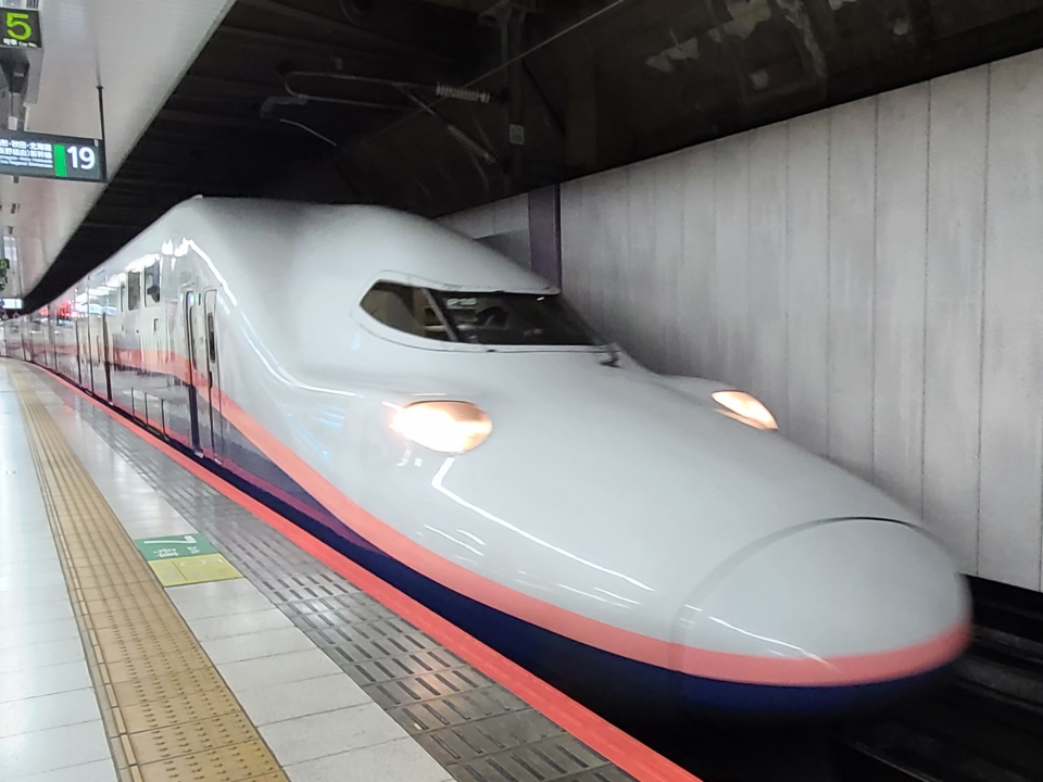 鉄道乗車記録「上野駅から新潟駅」乗車した列車(外観)の写真(1) by Tommy 撮影日時:2020年11月