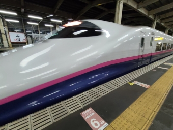 越後湯沢駅から上野駅の乗車記録(乗りつぶし)写真