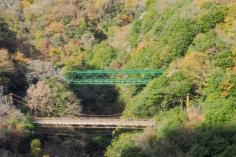 箱根、登山する旅（箱根湯本-強羅）の乗車記録(乗りつぶし)写真