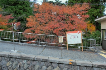 箱根、登山する旅（公園上-早雲山）の乗車記録(乗りつぶし)写真