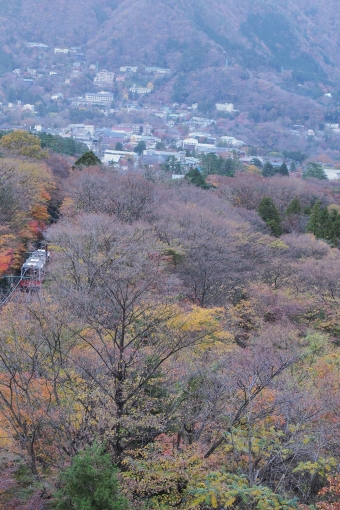 箱根、登山する旅（早雲山-強羅）:鉄道乗車記録の写真