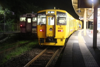 山川駅から谷山駅の乗車記録(乗りつぶし)写真