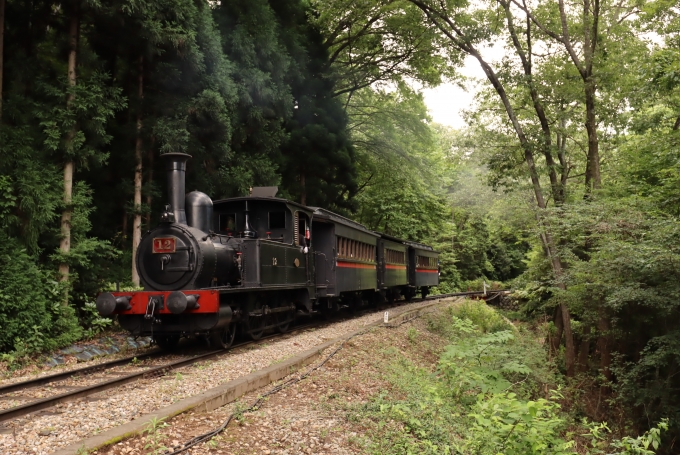 鉄道乗車記録の写真:旅の思い出(8)        「日本に現存する動態保存機では最古の機関車です」