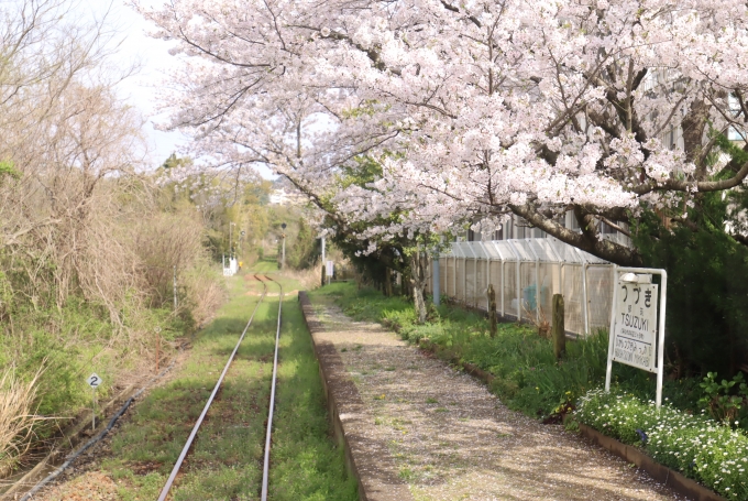 鉄レコ写真:駅舎・駅施設、様子