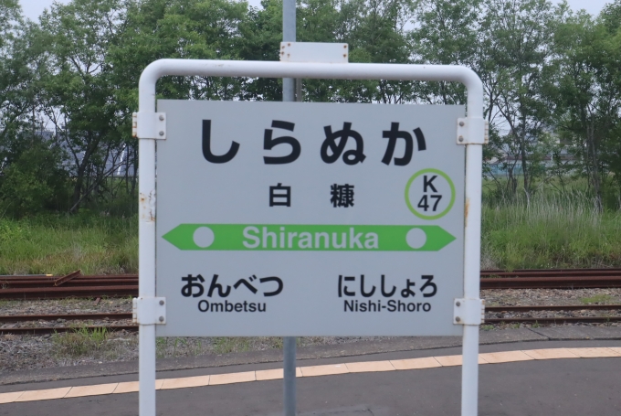 鉄道乗車記録の写真:駅名看板(6)        