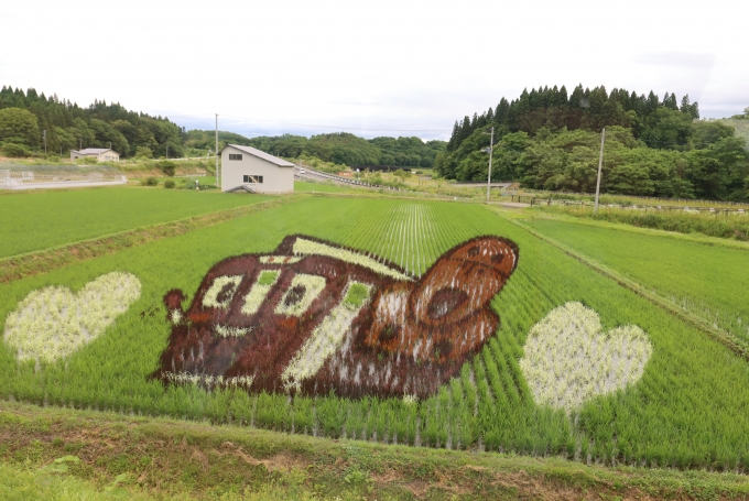 鉄道乗車記録の写真:車窓・風景(4)        