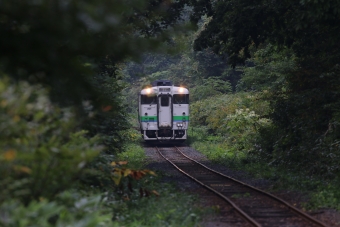 豊ヶ岡駅から新十津川駅の乗車記録(乗りつぶし)写真