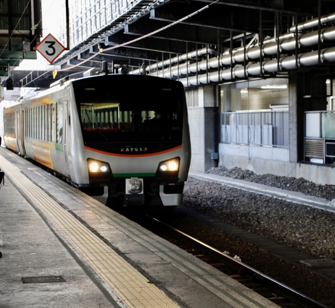鉄道乗車記録の写真:乗車した列車(外観)(8)        「HB-E301-3、E302-3車
八戸運輸区所属車」