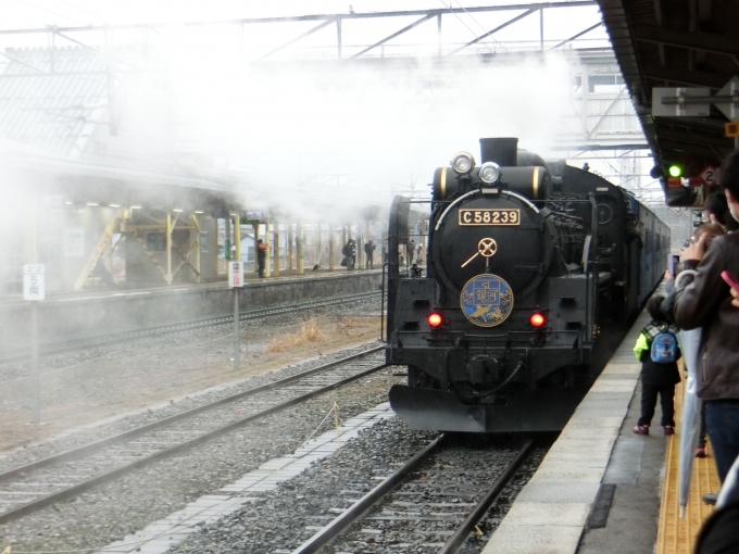 鉄道乗車記録の写真:乗車した列車(外観)(7)        「花巻駅到着後回送列車となります。」