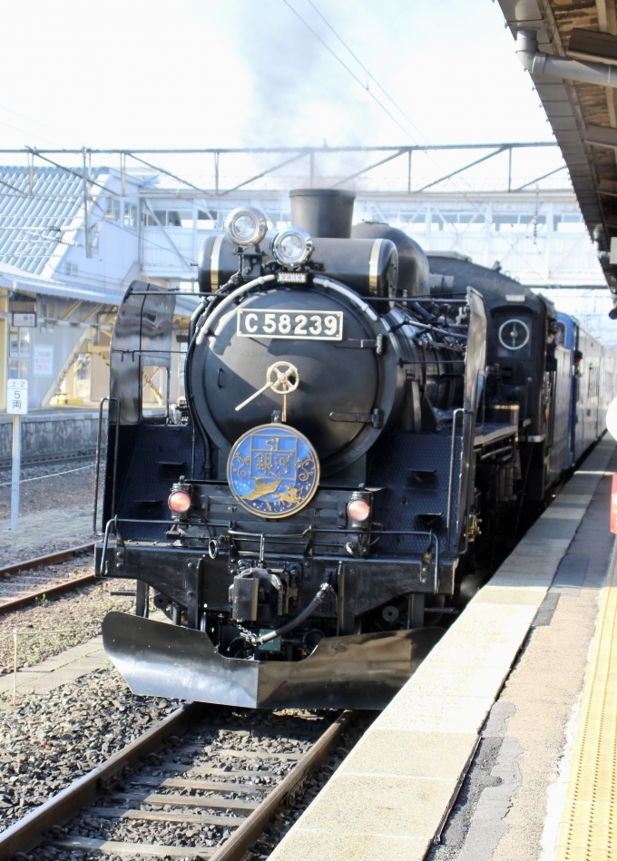 鉄道乗車記録の写真:乗車した列車(外観)(5)        「花巻駅到着後回送列車となります」