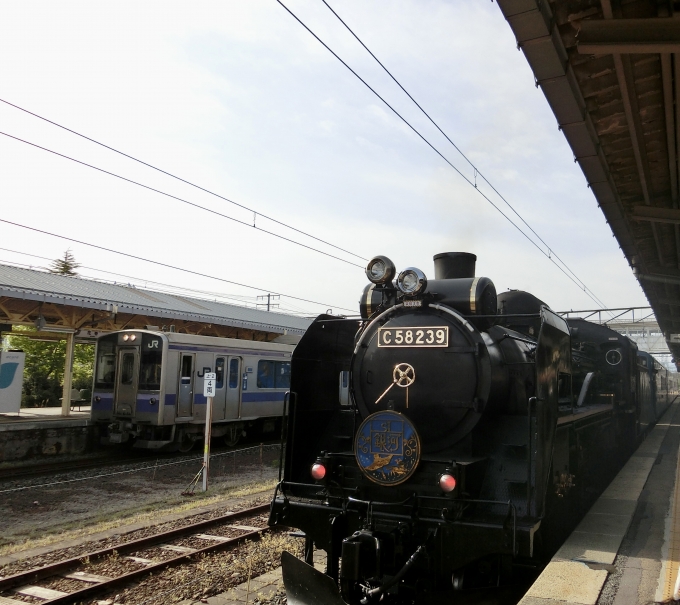 鉄道乗車記録の写真:乗車した列車(外観)(3)        「花巻駅到着後盛岡車両センターに回送されます。」