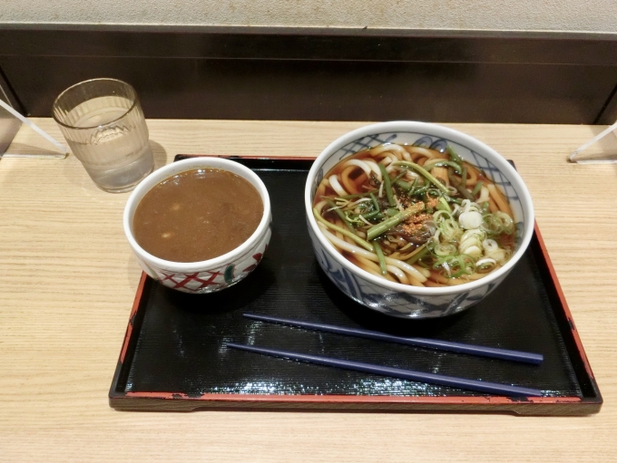鉄道乗車記録の写真:駅弁・グルメ(4)        「秋田駅の駅そばで山菜うどんとミニカレー丼を食べました。」