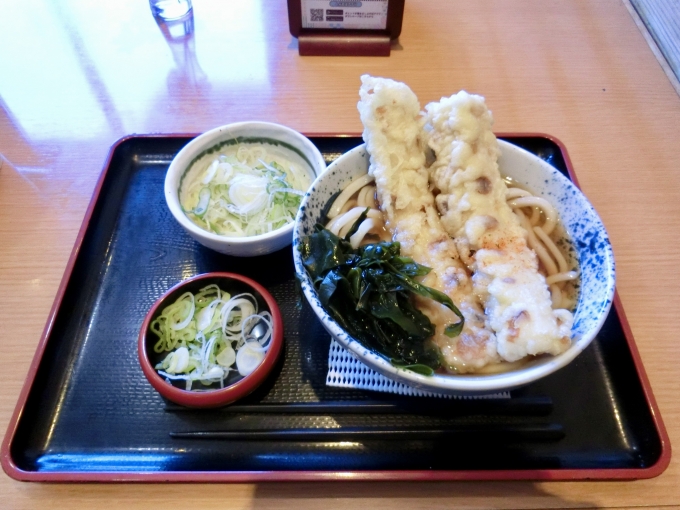 鉄道乗車記録の写真:駅弁・グルメ(1)        「長津田駅の駅そばでちくわ天うどんを食べました。」