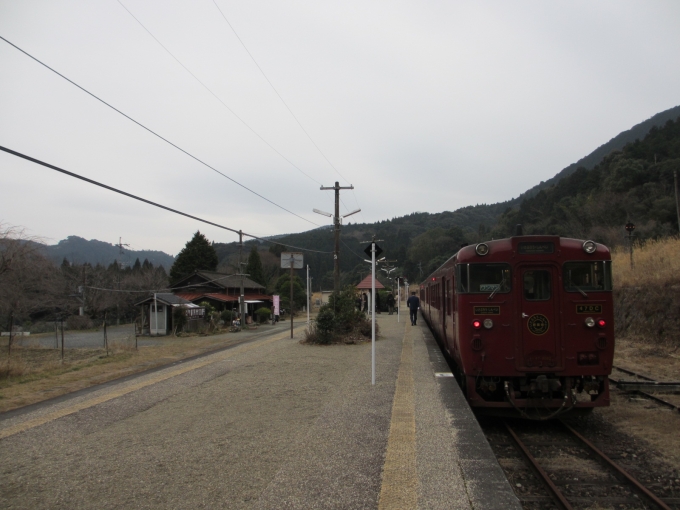 鉄道乗車記録の写真:乗車した列車(外観)(9)     