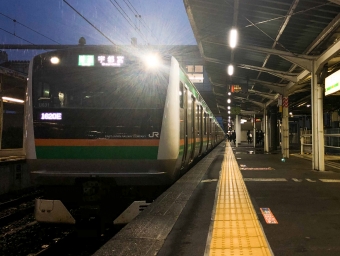 大宮駅から蓮田駅の乗車記録(乗りつぶし)写真