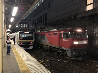小山駅から池袋駅の乗車記録(乗りつぶし)写真