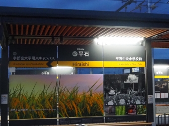 平石停留場から宇都宮駅東口停留場の乗車記録(乗りつぶし)写真