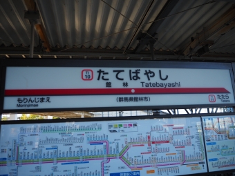 加須駅から館林駅の乗車記録(乗りつぶし)写真