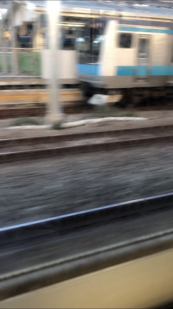 鉄道乗車記録の写真:車窓・風景(2)     「鶴見駅にて。
京浜東北線の人身事故のため、鶴見駅付近で貨物線に転線。横須賀線へ。
」