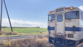 西大山駅から鹿児島中央駅の乗車記録(乗りつぶし)写真