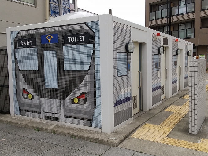 鉄道乗車記録の写真:旅の思い出(4)        「日根野駅前にある、225系を模した公衆トイレです。」