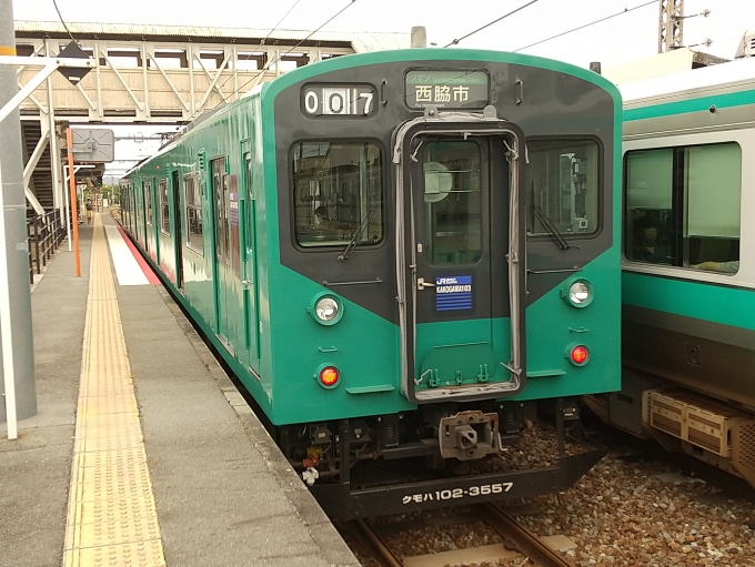 鉄道乗車記録の写真:列車・車両の様子(未乗車)(8)        「加古川線の103系です。」