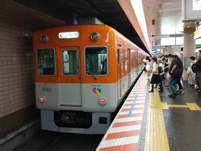 鉄道乗車記録の写真:列車・車両の様子(未乗車)(2)        「阪神電車きってのネタ編成が来ました、」